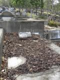 image of grave number 370314